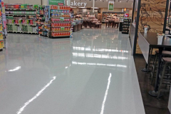 Main-BG-2-1024x731-1