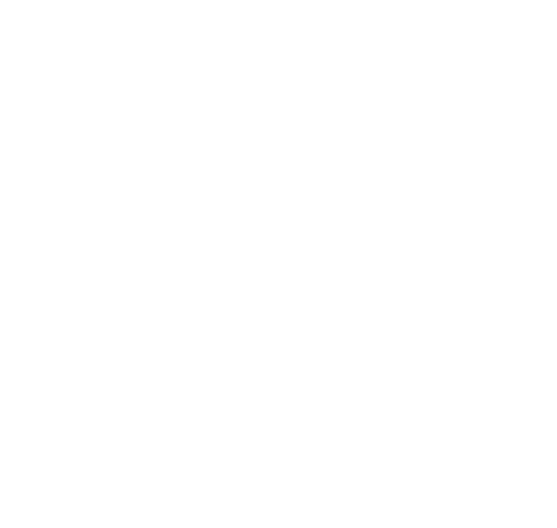 Service Excellence graphic